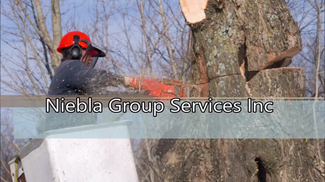Niebla Group Services Inc - (951) 607-2128