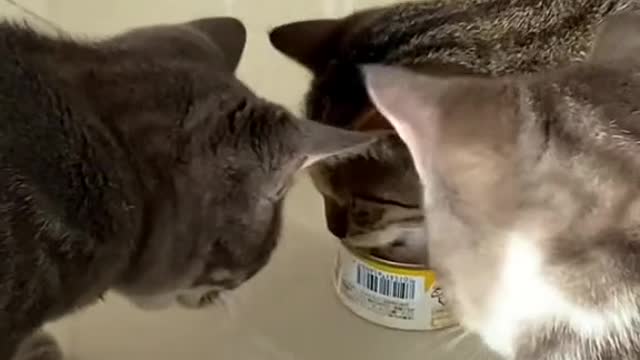 let me eat first!🥰
