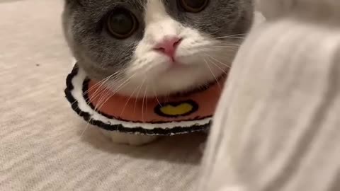 138_130011_爱笑的小年糕_