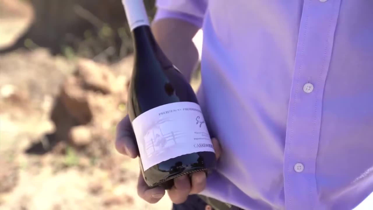 Casas Del Bosque - 'PEQUEÑAS PRODUCCIONES' SYRAH