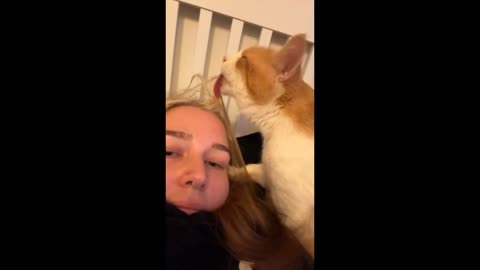 Funniest domestic animals