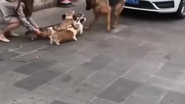 The Joy of Surrounding