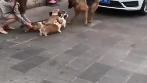 The Joy of Surrounding