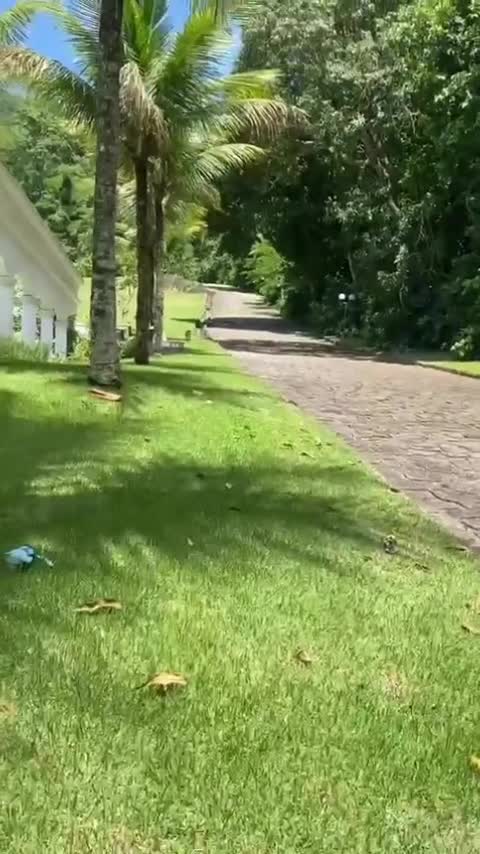 Renato Aragão recebe alta do hospital