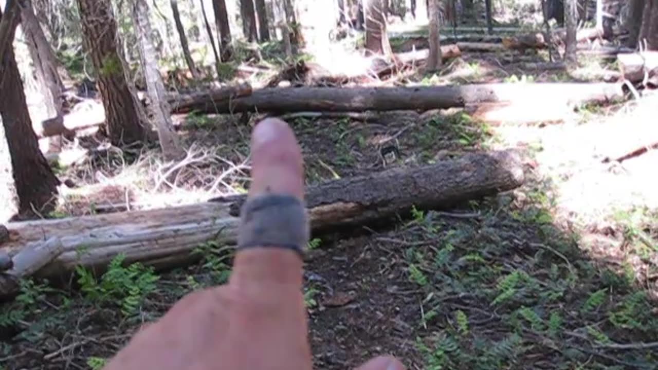 Creative Trail Clearing Part 1