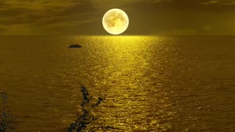 The cold river is alone in the shadow