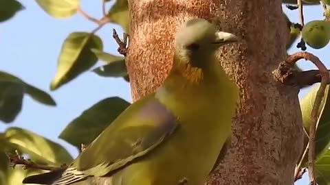 All tayep animals video general knowledge video 📸📸