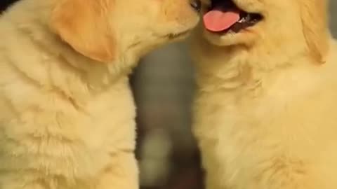 I Can't Say I Do Without You!!!