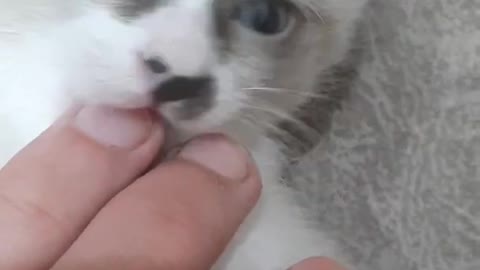 Could this video get 1 million likes?