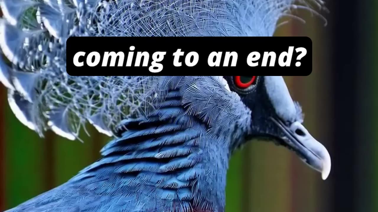 Open AI's Sora is a Game Changer