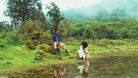 Dinii dinaa