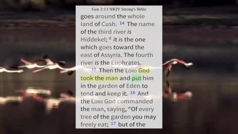 WHO IS LUCIFER — PART TWO — INTENT —