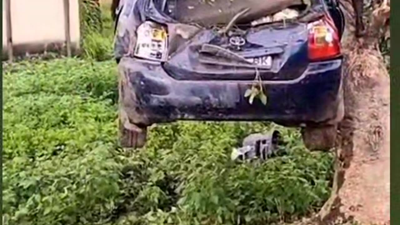 Car stuck in the treeππππ±