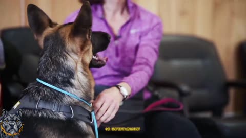 REACTIVE GERMAN SHEPHERD GOES AFTER MY DOG!🐶🐶🐶#PRAT-57