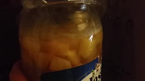 Wine and Apple Vinegar Update 6-6-23