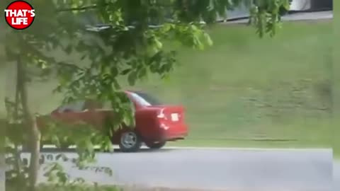 Funny WOMEN FAIL IN TRAFFIC - 💋 Women Drivers NO Skill _ Funny