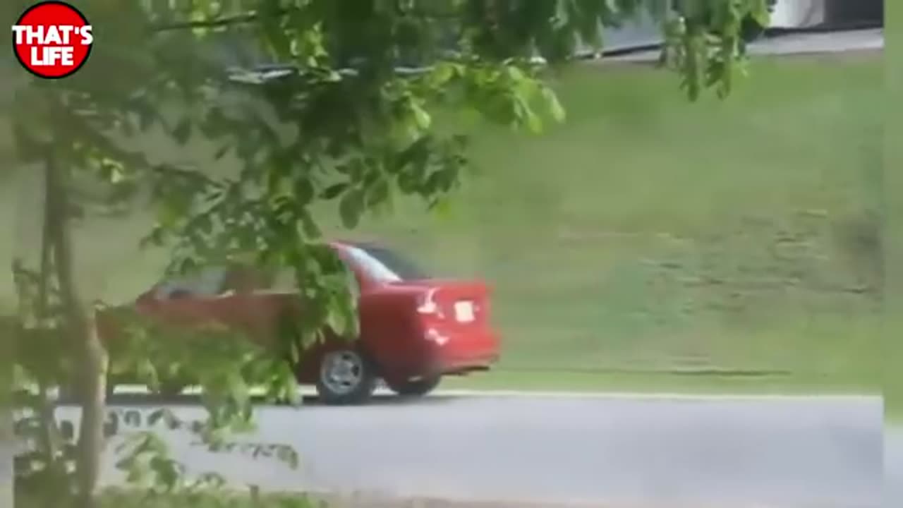 Funny WOMEN FAIL IN TRAFFIC - 💋 Women Drivers NO Skill _ Funny