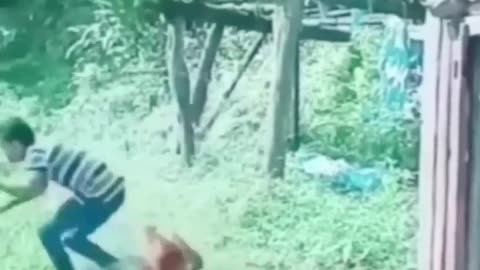 Try not to laugh 😂 human vs animal