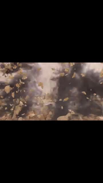 2 Godzillas Fighting