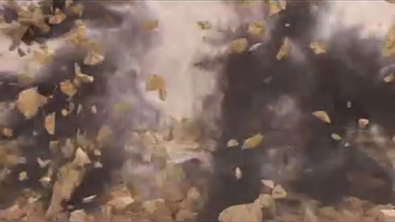 2 Godzillas Fighting