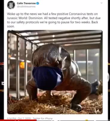 A disaster for humans😱😱