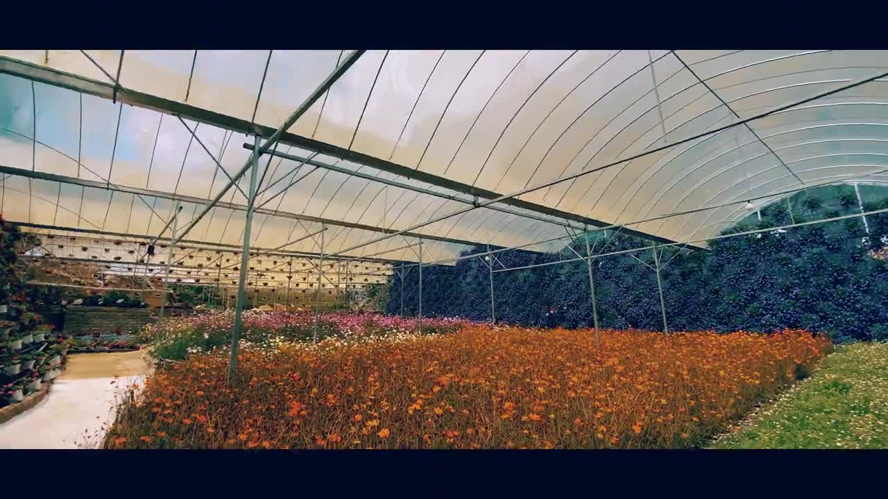 (4K) Cameron Highland Cinematic Travel Video - Malaysia