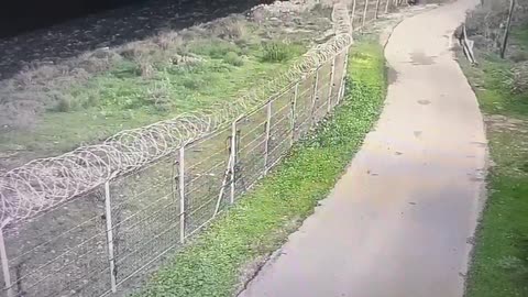 Terror Attack In Adora