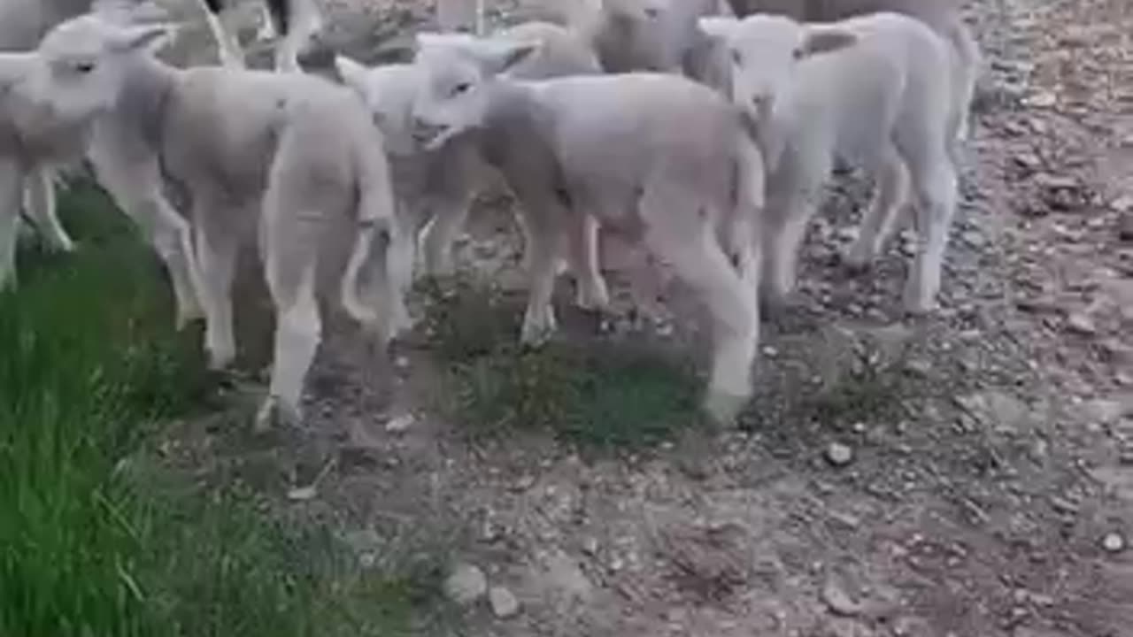 When you try to leave work early but the boss catches you