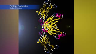 Orchestra of Amino Acids