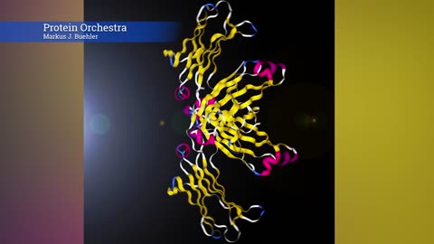 Orchestra of Amino Acids