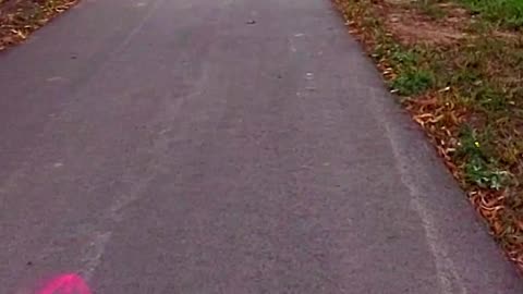 Classical Electric Scooter Cruise Episode 3