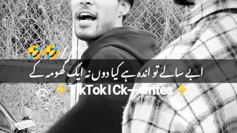 Funny videos
