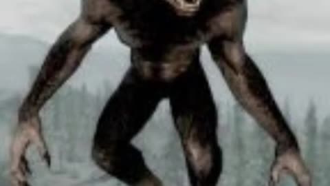 Case #002 Dogman or Werewolf Encounter