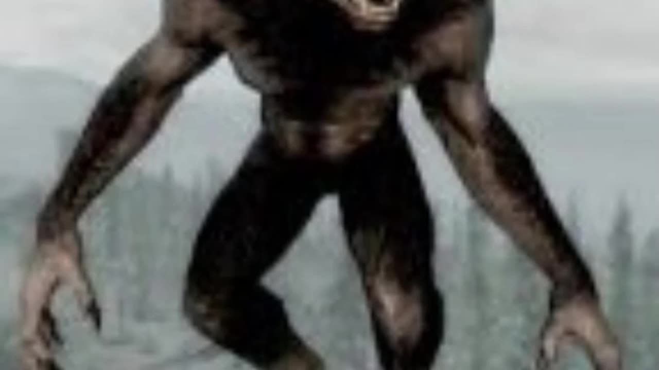 Case #002 Dogman or Werewolf Encounter