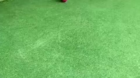 Top funny video Billiards million views