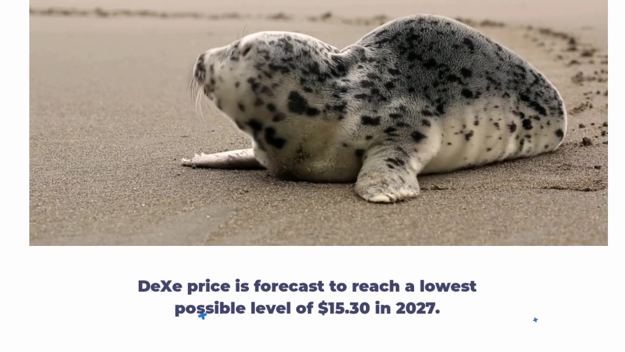 DeXe Price Prediction 2023, 2025, 2030 - Will DEXE go up