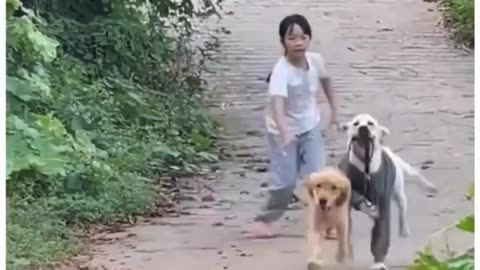 Love dogs and cats
