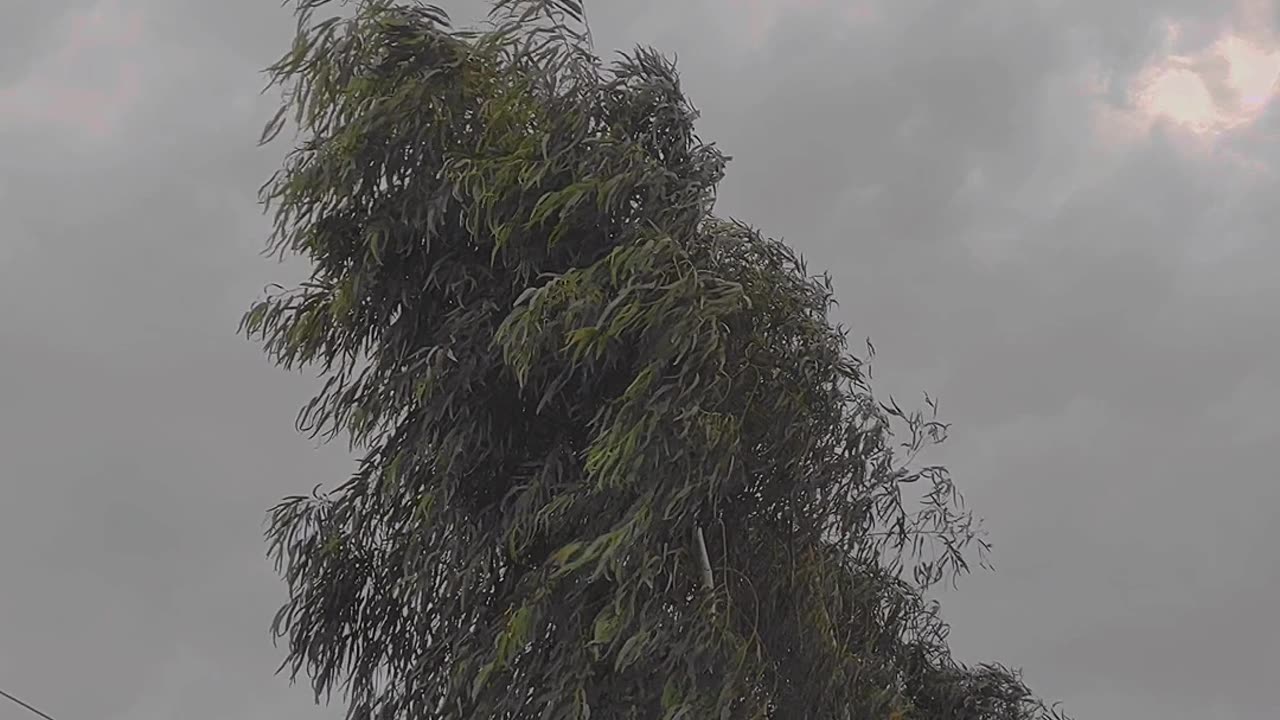 Beautiful nature village life#movie