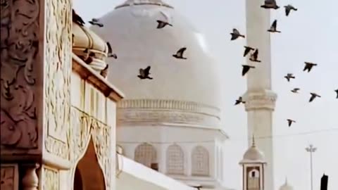 beautiful Islamic status, Islamic status on Muslim, 4K Islamic status, #short