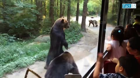 Funny animals#$@@😺😺