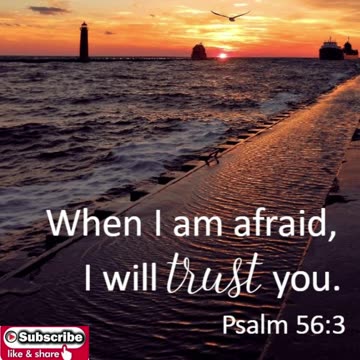 Nighttime Prayer of Trust #youtubeshorts #grace #jesus #mercy #faith #fyp #blessed #trust #love #joy