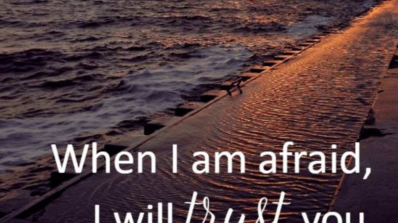 Nighttime Prayer of Trust #youtubeshorts #grace #jesus #mercy #faith #fyp #blessed #trust #love #joy