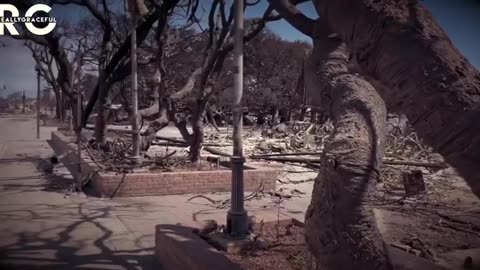 Maui fire - What the Media Won't Tell You About the Maui Fires