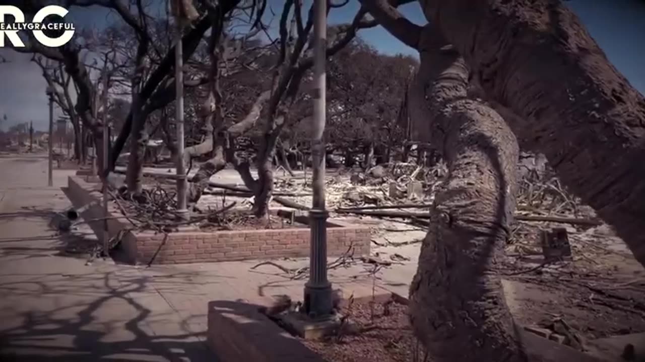 Maui fire - What the Media Won't Tell You About the Maui Fires