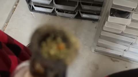 Day 22 This album Is from this year :)