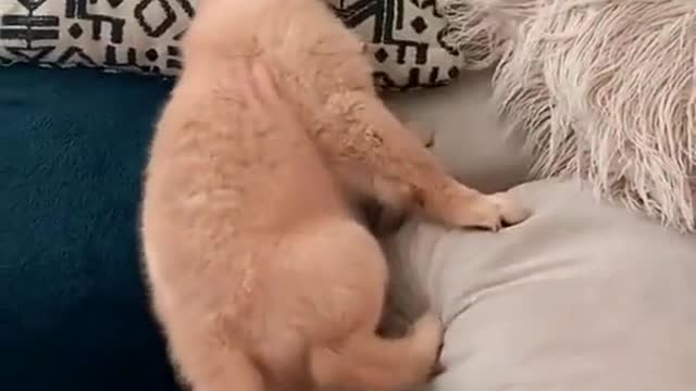 You got this fren (