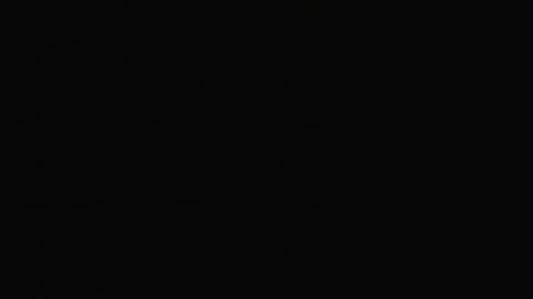 2865RSOB02Xray1st-Con_2021-01-05_01h00min01s430ms.mp4