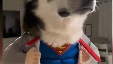 What a jacke🤣🥂🤣