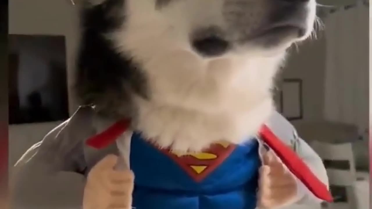 What a jacke🤣🥂🤣