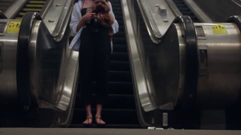 Woman with dog on escalator stairs